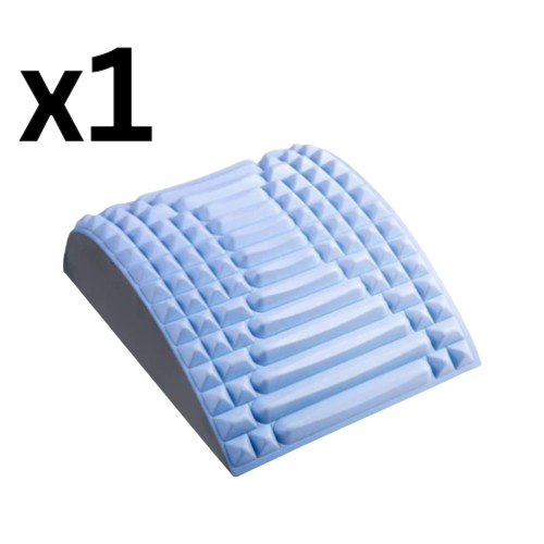 SpinePal 1pc