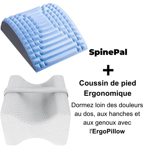 SpinePal 1pc + ErgoPillow 1pc